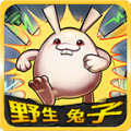 野兔子