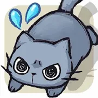 我家小猫超会躲