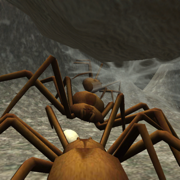 蜘蛛殖民地模拟器