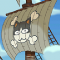 caribbean cat