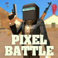 pixel battle royale