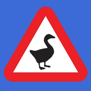 unnamed goose games