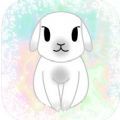 Bunniess Little Rabbits