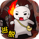 白猫大冒险
