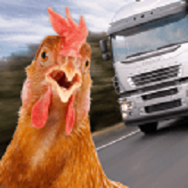 过路鸡步步惊心(Chicken Simulator)