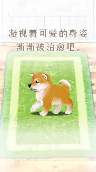养育柴犬的治愈游戏中文版