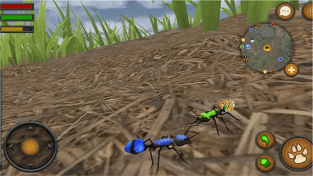 蚂蚁模拟器地下蚁国2手机版
