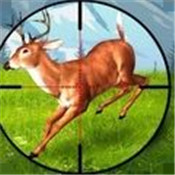 狙擊普通的鹿