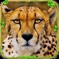 野生猎豹模拟3D