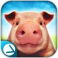 模拟猪的一生手机版