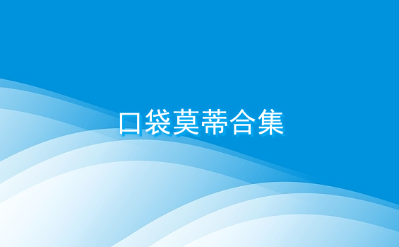 口袋莫蒂合集