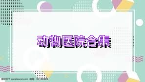 动物医院合集