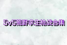 5v5荒野求生枪战合集