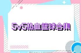 5v5热血篮球合集