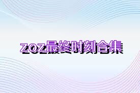 zoz最终时刻合集