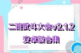 二班武斗大会v2.1.2安卓版合集