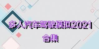 多人汽车驾驶模拟2021合集