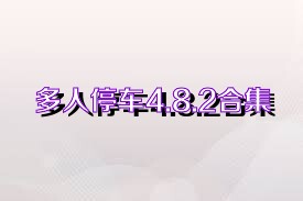 多人停车4.8.2合集