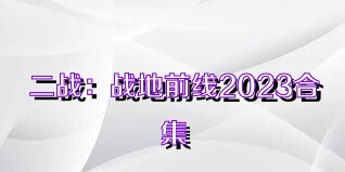 二战：战地前线2023合集