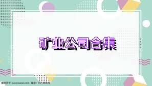 矿业公司合集