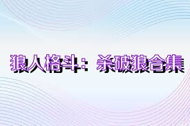 狼人格斗：杀破狼合集