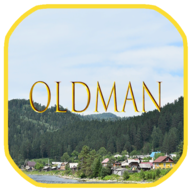 老人Oldman手机版