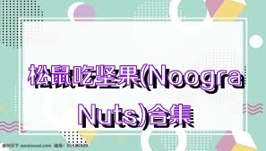 松鼠吃坚果(NoograNuts)合集