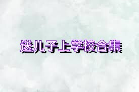 送儿子上学校合集