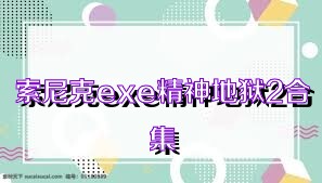 索尼克exe精神地狱2合集