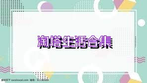 淘塔生活合集