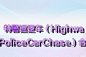 特警巡逻车（HighwayPoliceCarChase）合集