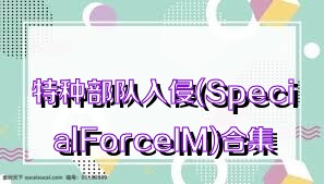 特种部队入侵(SpecialForceIM)合集