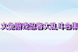 火兔游戏忍者大乱斗合集