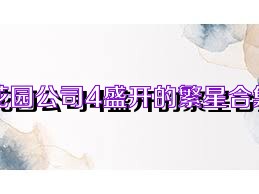 花园公司4盛开的繁星合集