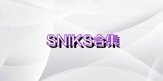 SNIKS合集