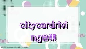 citycardriving合集