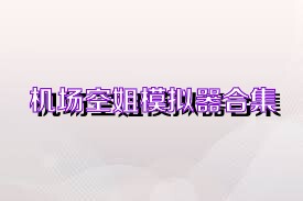 机场空姐模拟器合集