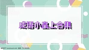 成语小皇上合集