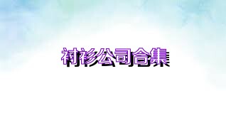 衬衫公司合集