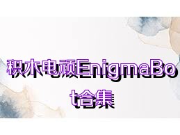 积木电顽EnigmaBot合集