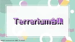 Terrarium合集