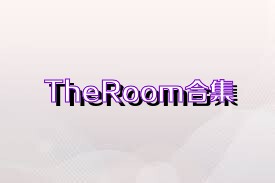 TheRoom合集