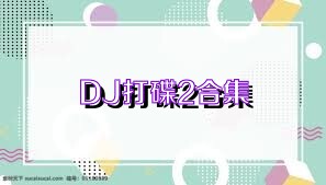 DJ打碟2合集