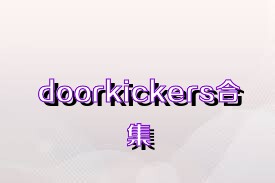 doorkickers合集