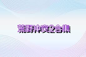 荒野冲突2合集