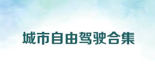 城市自由驾驶合集
